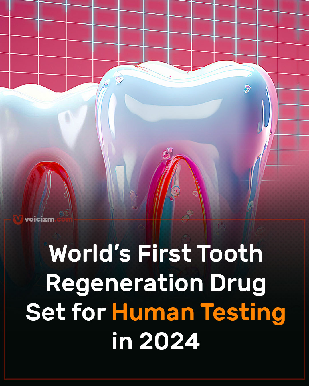 World’s First Tooth Regeneration Drug Set for Human Testing vorandom